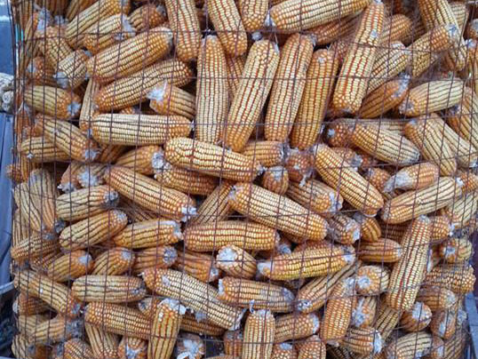 ˭���Ҳң������׳�����������ɱ��