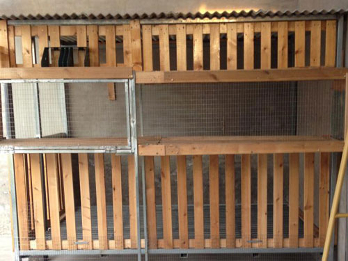 Ϊ���������æ���������깤(ͼ)