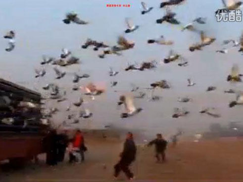 ��㤣����֡��������롱��(ͼ)