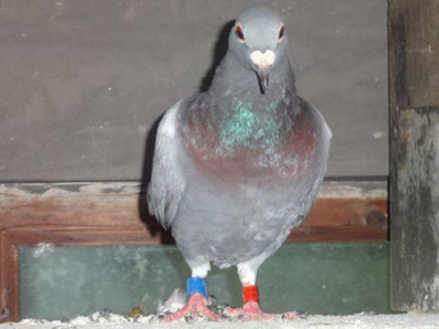 ������߽���������뾭��20��