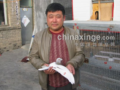 ������������300�������ǰ����(ͼ)