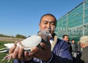 ̽��ͨ���ֵܹ���(ͼ)