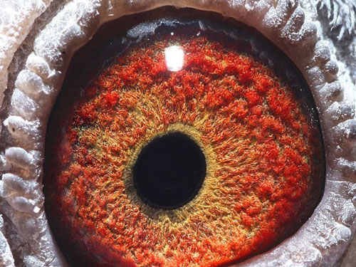 ������������������������(ͼ)