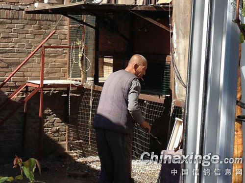 �۵ù�Ǻ��8�������������(ͼ)