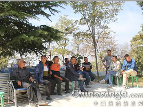 ����ȸ� ������(ͼ)