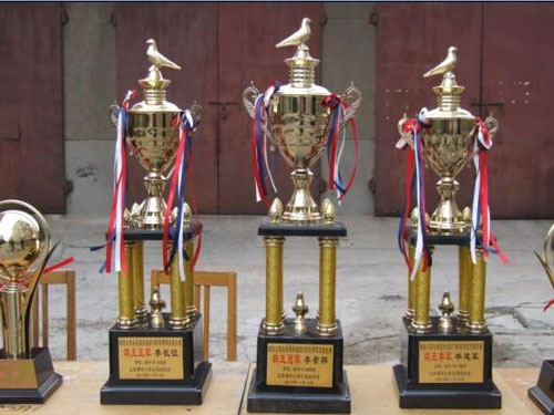 �����Ѯ ����־��Ϊǿ����