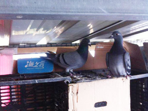 �����ٹ��� �һ�ȫ����û��(ͼ)