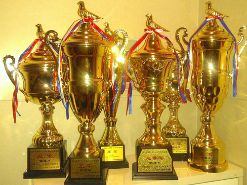 ���������ù���ھ���������ǿ������ǿ��