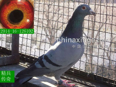 �����кڿ� ���ּ�ֵ��(ͼ)