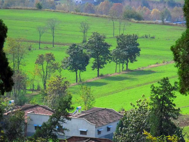 ���ʮ�£�������������ɢ�ҷ�(ͼ)