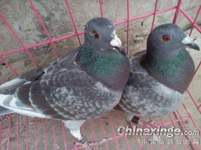 �ҵĹ�ɫ�����(ͼ)