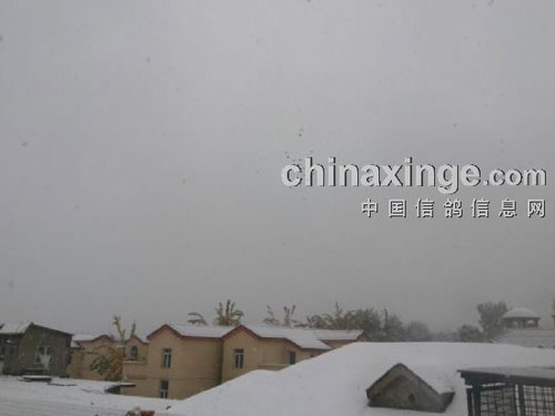 ��ѩ���� �Ÿ�ҷ�(ͼ)