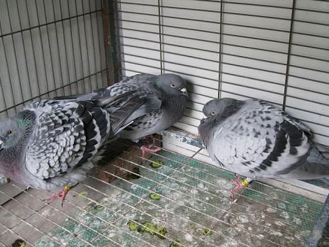 ����֮���������������������