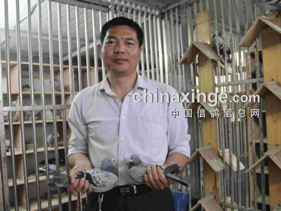 ������ӵ������������(ͼ)