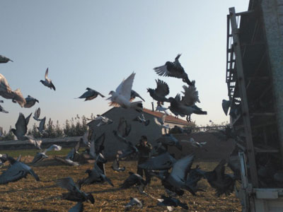 �϶����ҷ��н����� �����Ĺ��