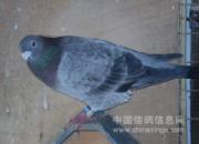 ����20�꣺��Ǩ�᲻��12�ꡰ�ϻ�ơ�