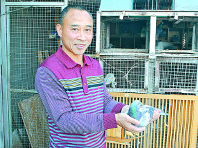 ����Ԭ��֥�����Ѷ�������(ͼ)