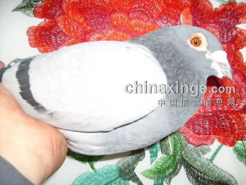 �����һͰ�� ���ҡ�ǰ���ƽ���(ͼ)