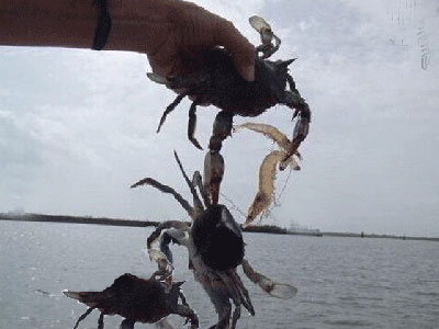 �����˲�ɣ̶֮�ݸ���(��ʮ)