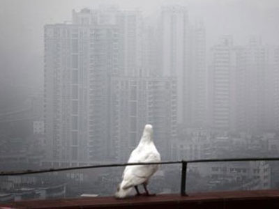 Ѫս�����м�ֵ�����������б�Ҫ��