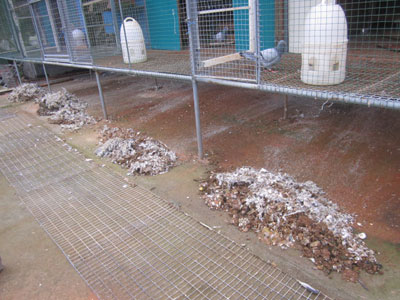 ��ζ���Ը������֮��