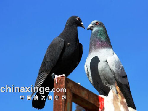 ���ĵ㡱���Թ������