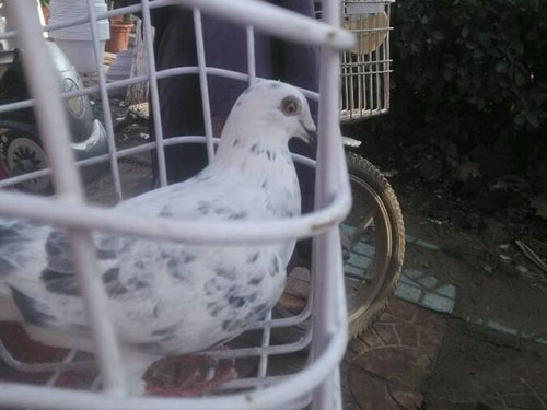 ǧﲻ⻷ֻҪûر Ҿǹھ