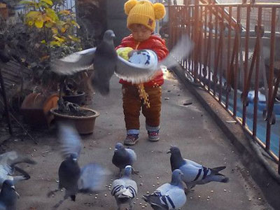 ���ޡ���ս������(ͼ)