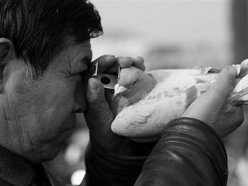 ������ġ������١�