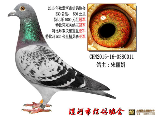 ޡޡ¶ǧԪرȹھ(ͼ)