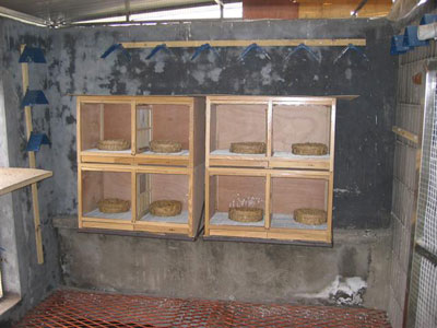 ���ȥ���ָ롰���ˡ��͡����ˡ�