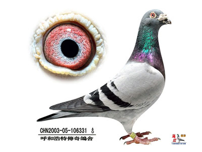 ���˵�һ�꣺�رȹ��ﶼ������