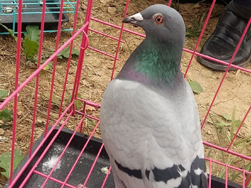 ������������������111��(ͼ)