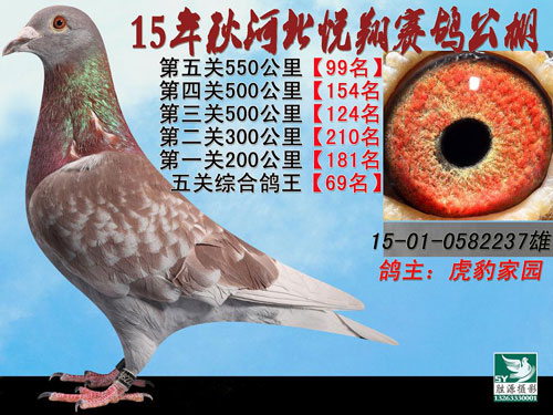 ���ӱ����ҵ���ҽ���ϰ�����(ͼ)