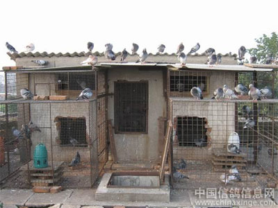 С����ĳ�·