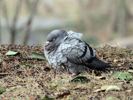 ������ġ���ҩ�롱�ѳɴ��ã�