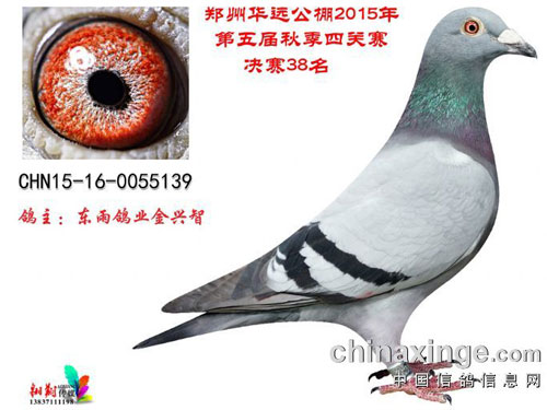 �������ˣ�������������̬(ͼ)