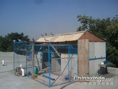 ��Ժ�����볡 ɢ�����ѳɼ�����