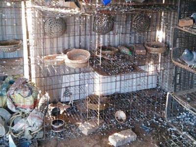 ���������Ҹ�����δ�������(ͼ)