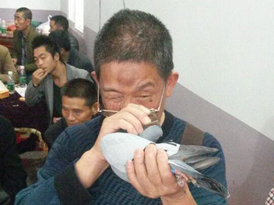 ���롪����ֻ���ۣ�