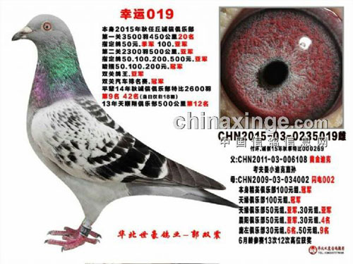 ���ƴ�����Щ����ɫ��һ���Ķ���(ͼ)