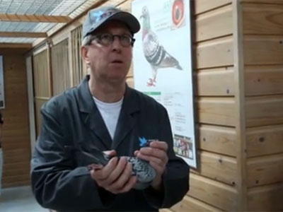 ��Ƶר�ã��������������Ϳ˸���