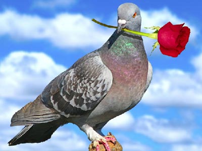 ��̰�� ��������ξ���ǰʵ��