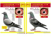 �������ͣ����Ļƺӹ������20�ڸ�����(ͼ)