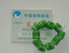 ���ۣ��������㻷֤ �ɼ��ò���ȡ����