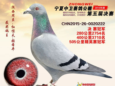 �������ͣ����������������ǰʮ��(ͼ)