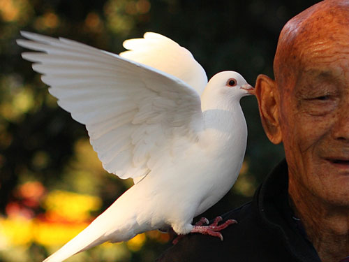 С˵���أ�����������¡��롱