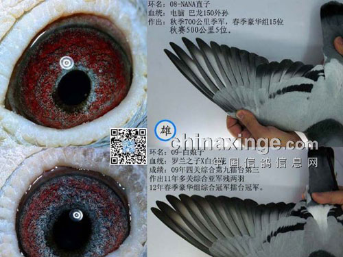 �����ٳɷ�����ѡ�����ʸ��ָ루ͼ��