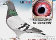 �����¶�121�� �����빫�﹦����û