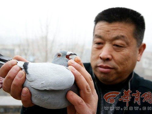 ���������ˣ��������ս �߼������(ͼ)